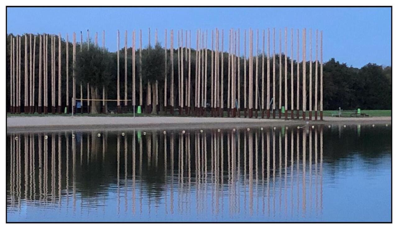 Vakantiewoning Maas En Waal Ewijk Esterno foto